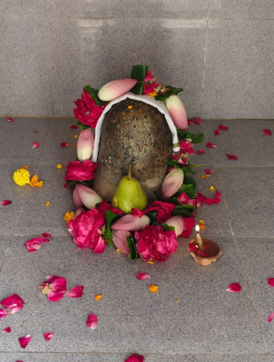 Guru purnima celebration 2026